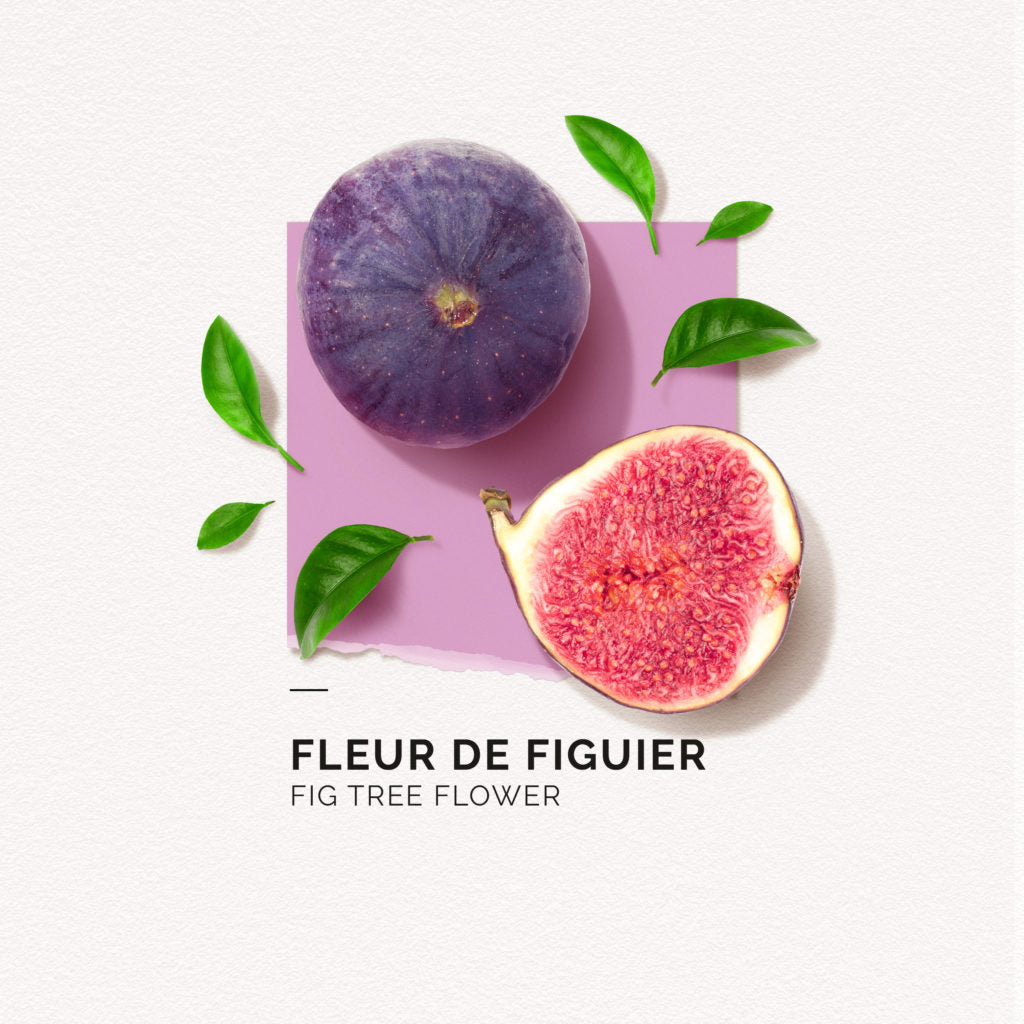 Figtree Flower Eau de Parfum  Summer Fragrance 50 ml solinotes