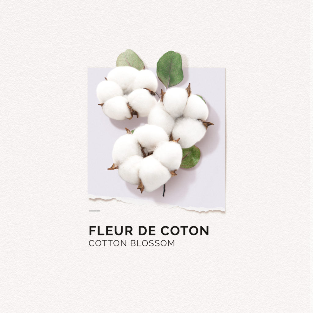 Cotton Flower Eau de Parfum 50 ml solinotes Summer Fragrance 