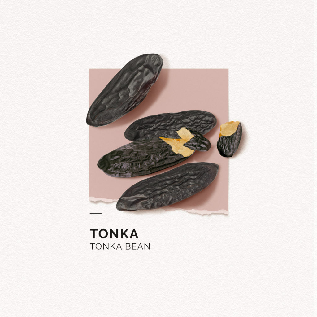 Tonka Bean Eau de Parfum – 50 ml summer fragrance solinotes